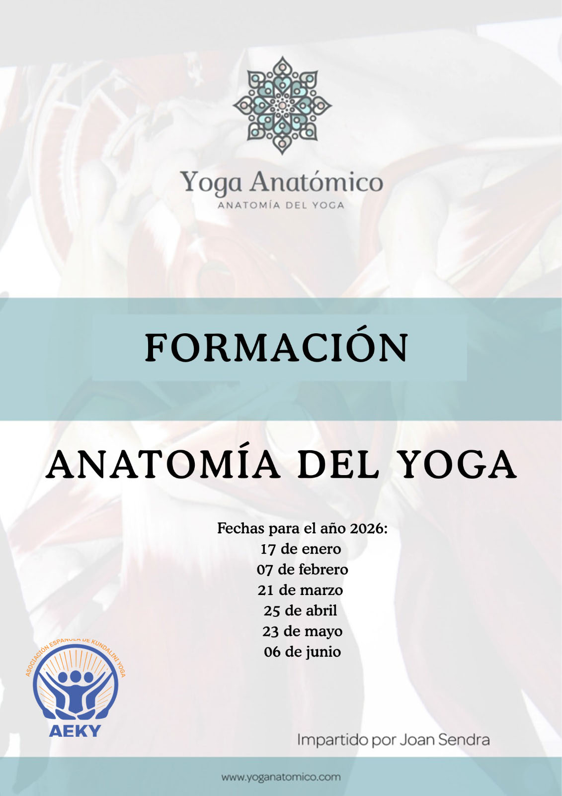 Formación de Anatomía del Yoga y Terapéutico: Módulo 1